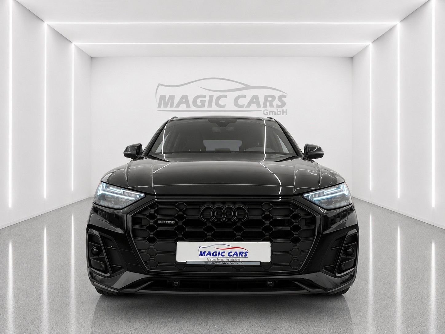 Fahrzeugabbildung Audi Q5 40 TFSI quattro S line *Black-Style*Pano*AHK* - mit KI generiert/bearbeitet