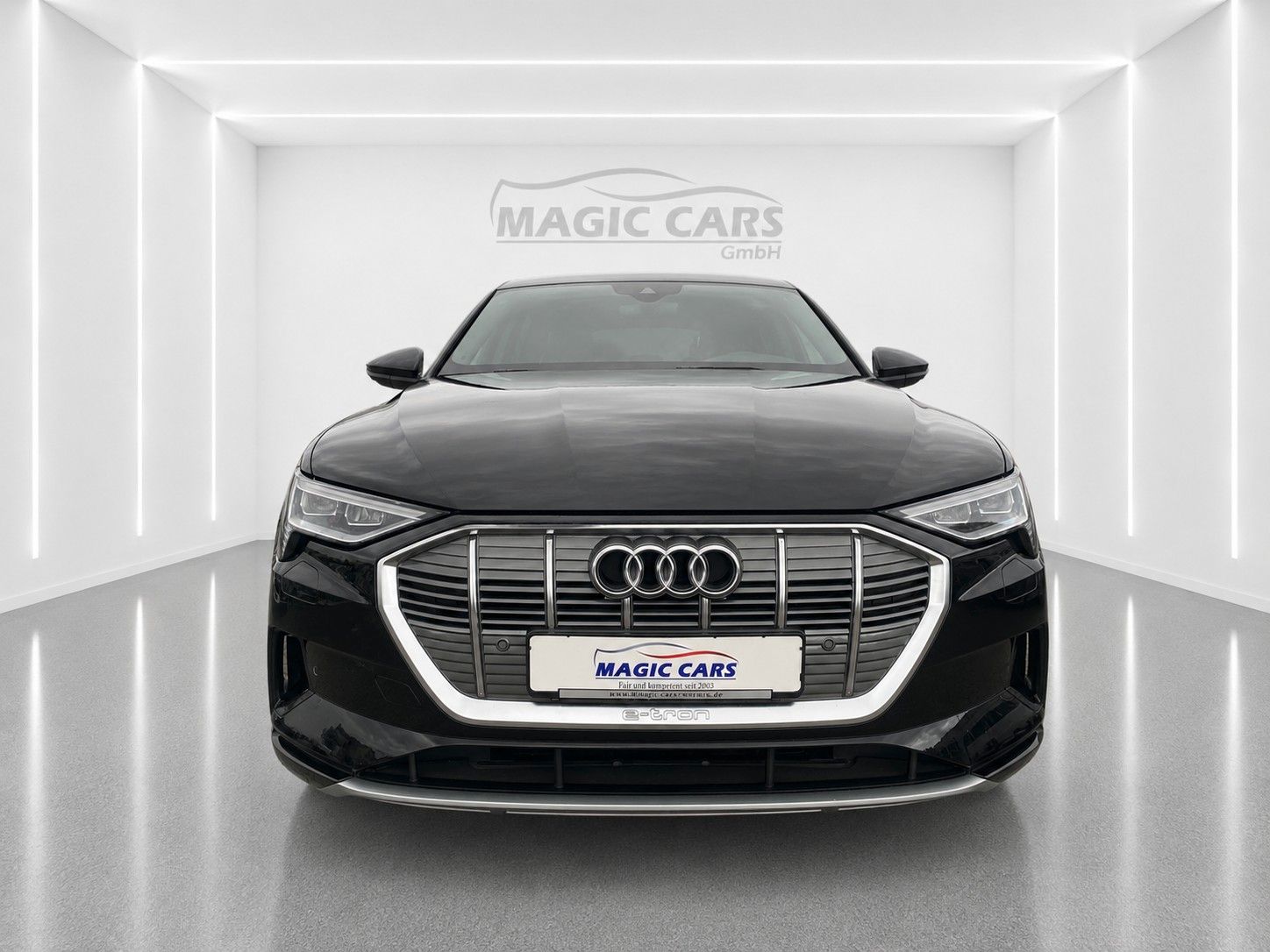 Fahrzeugabbildung Audi e-tron 50 quattro advanced *Luftfederung*Kamera* - mit KI generiert/bearbeitet