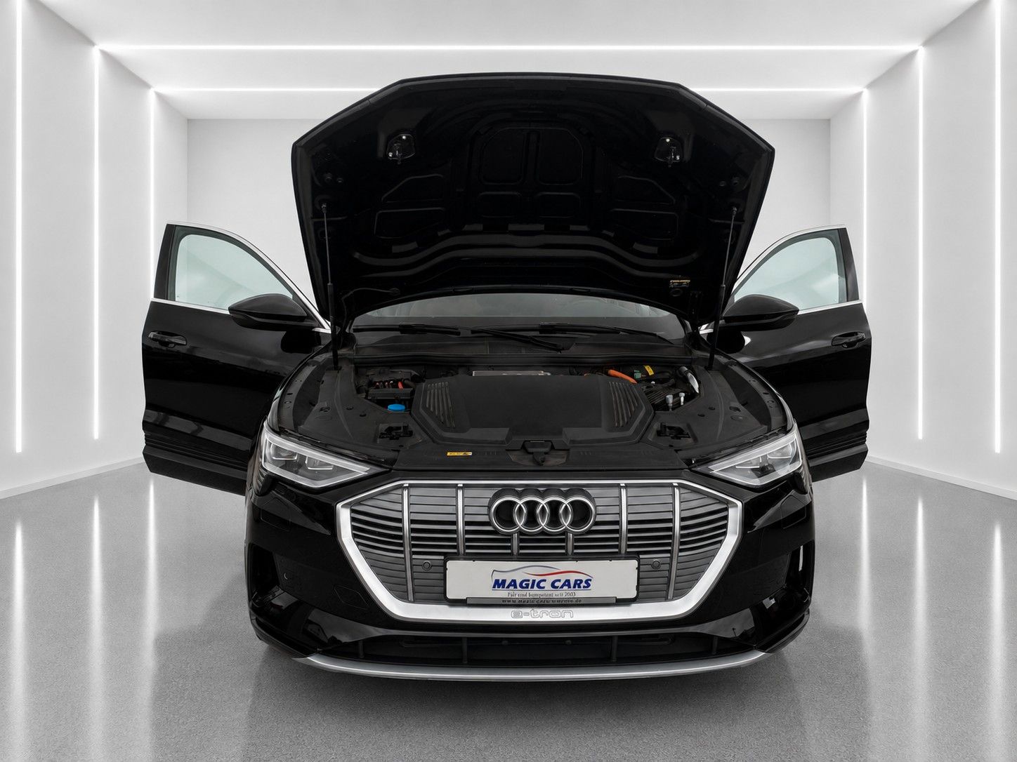 Fahrzeugabbildung Audi e-tron 50 quattro advanced *Luftfederung*Kamera* - mit KI generiert/bearbeitet