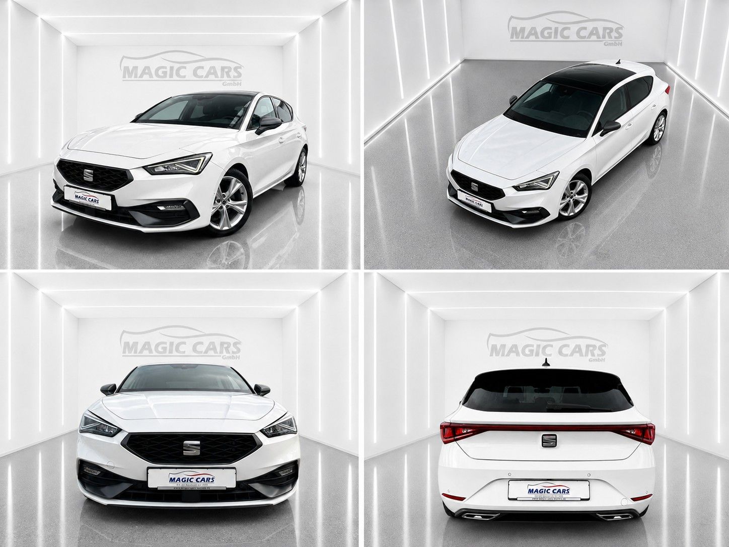 Fahrzeugabbildung SEAT Leon FR 2.0 TDI*Pano-Dach*Beats*DAB*Leder*Memory - mit KI generiert/bearbeitet