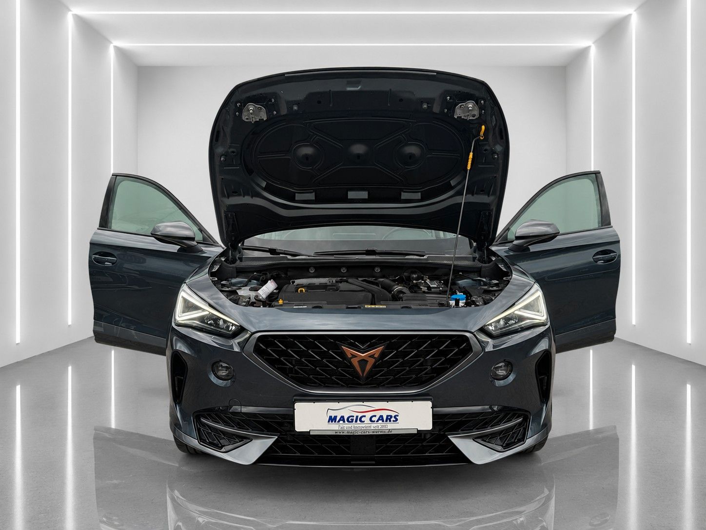 Fahrzeugabbildung CUPRA Formentor 1.5 TSI DSG *Teilleder*ACC*29.000KM* - mit KI generiert/bearbeitet