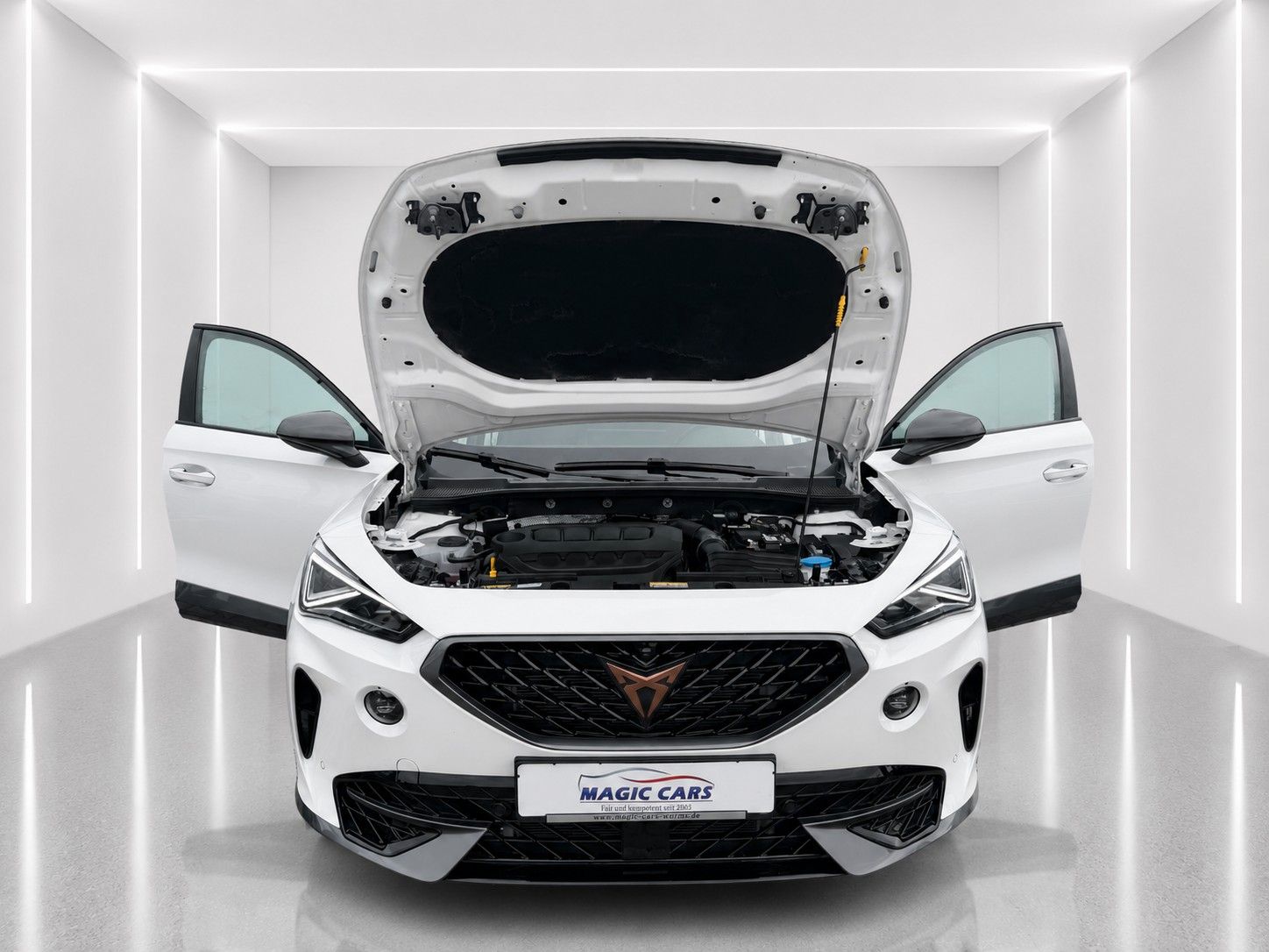 Fahrzeugabbildung CUPRA Formentor VZ 2.0TSI 4Drive DSG*Mega-Ausstattung* - mit KI generiert/bearbeitet