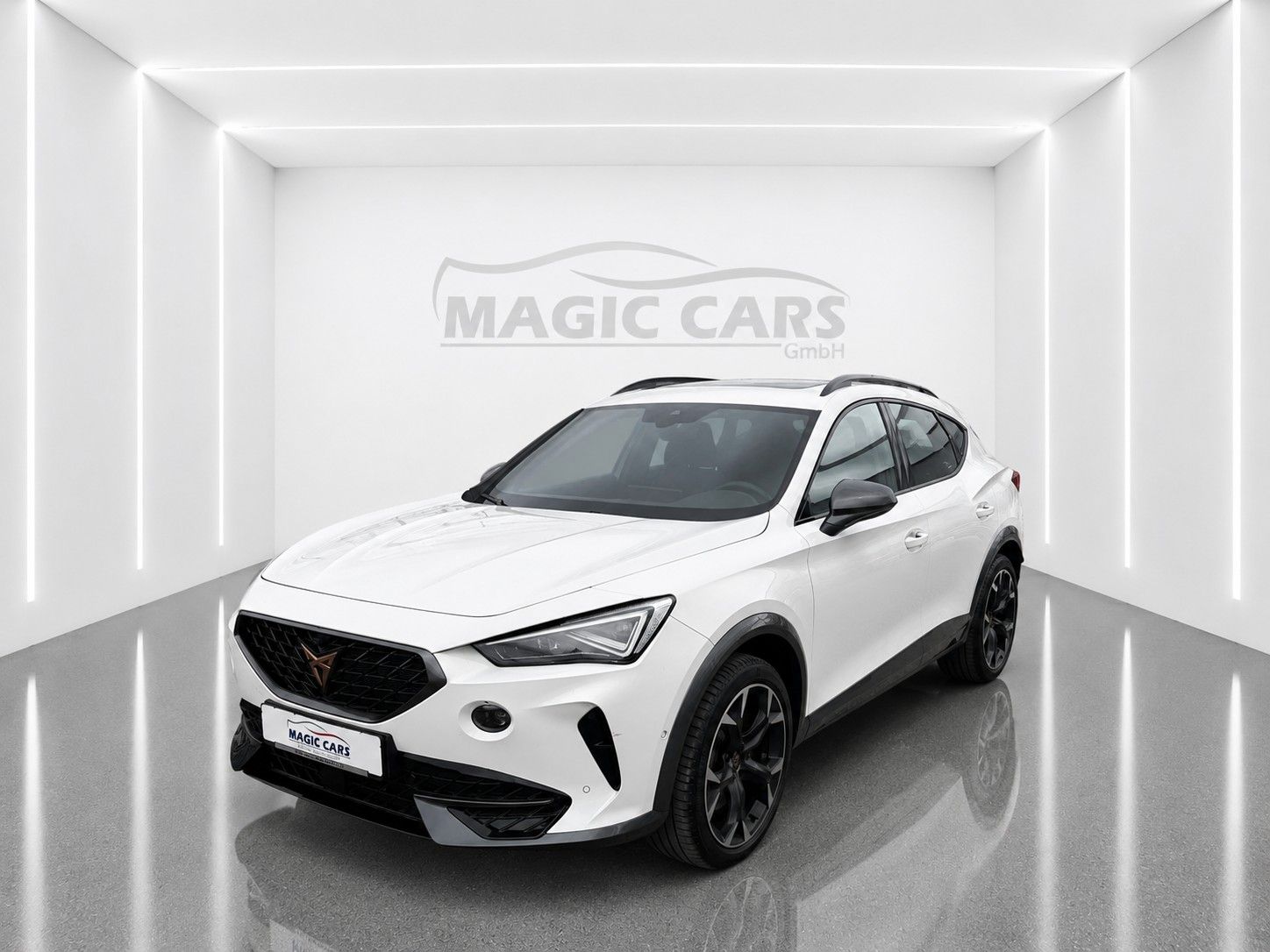 Fahrzeugabbildung CUPRA Formentor VZ 2.0TSI 4Drive DSG*Mega-Ausstattung* - mit KI generiert/bearbeitet