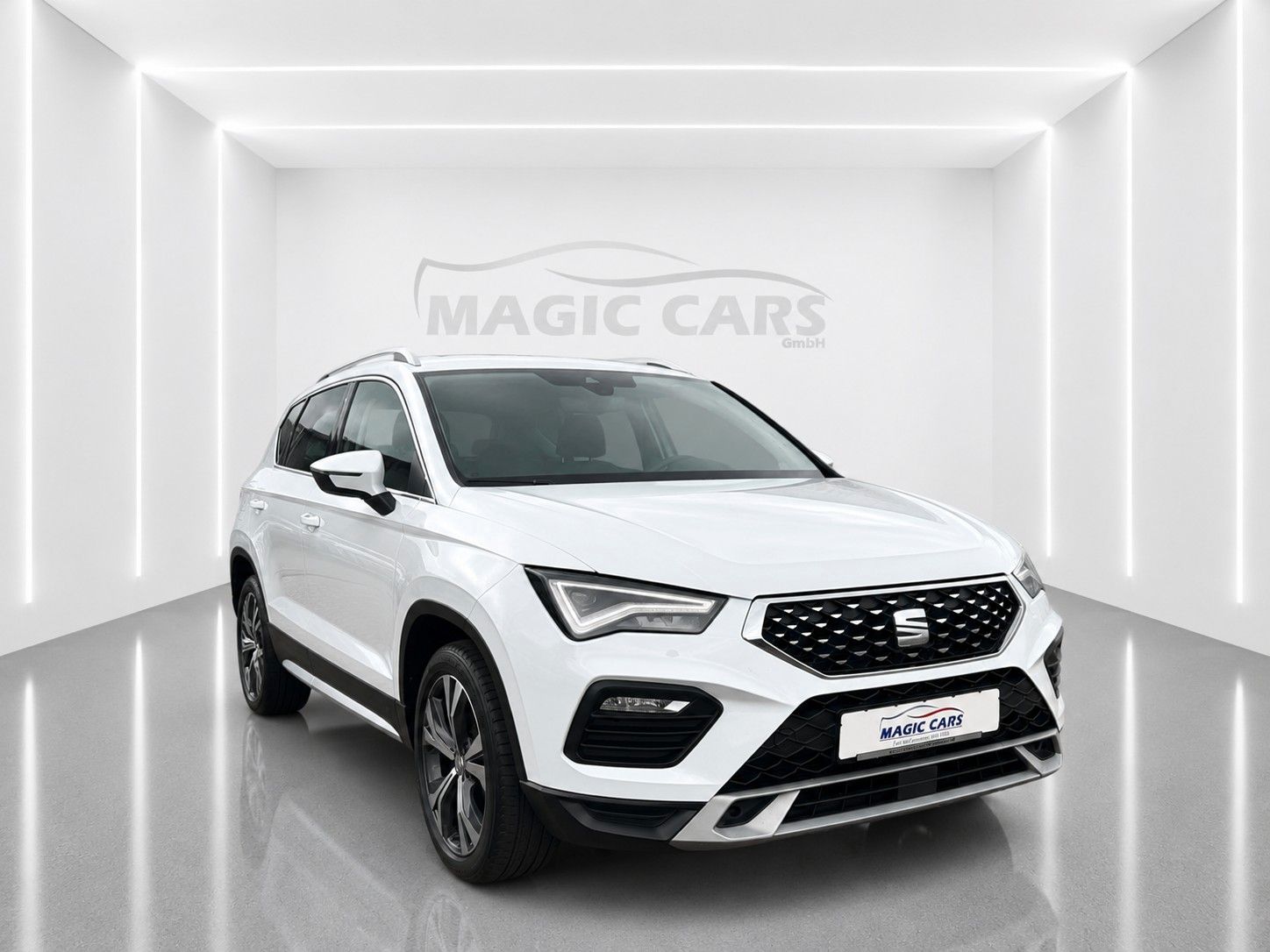 Fahrzeugabbildung SEAT Ateca 2.0 TDI DSG Xperience *LED*AHK*VIRTUAL* - mit KI generiert/bearbeitet